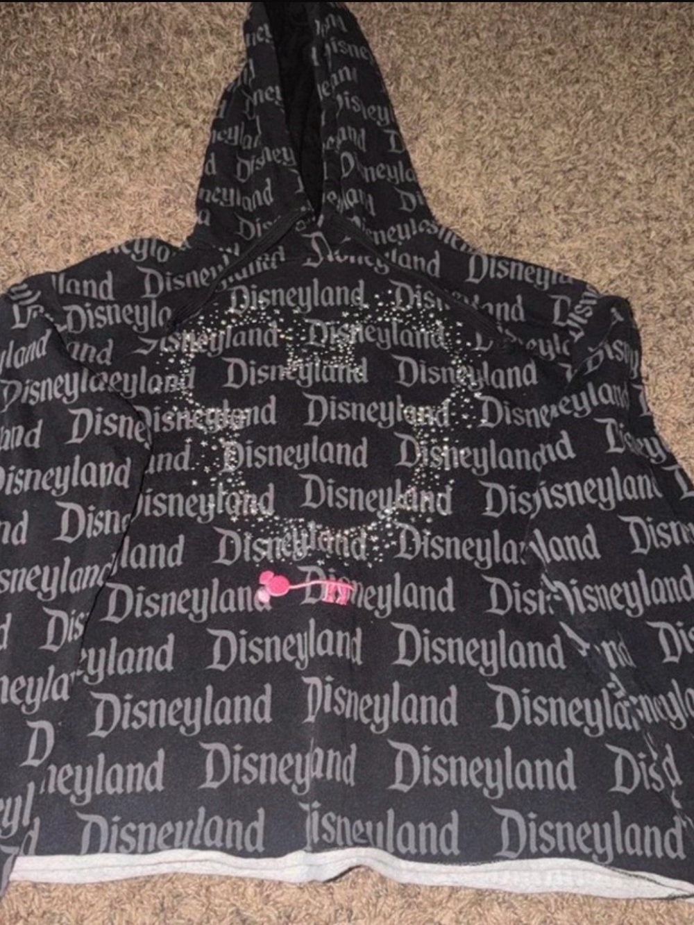 Disneyland hoddies